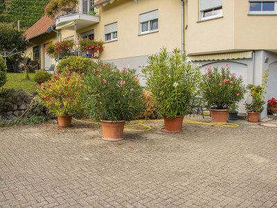 Holiday apartment Holiday farm Mayer - Apartment 2 - Outdoor photo 13