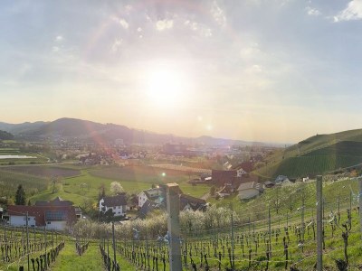 Holiday apartment Holiday farm Mayer - Apartment 2 - Environment photo 29