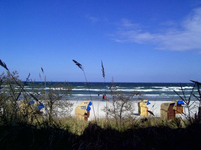 Holiday apartment Guesthouse "Vogelsang" - Environment photo 17