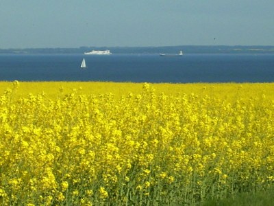 Holiday apartment Guesthouse "Vogelsang" - Environment photo 20