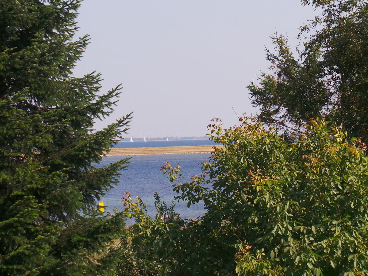 Holiday apartment Hallmann - Outdoor photo 4