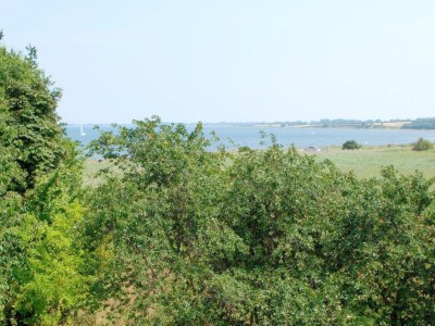 Holiday apartment Hallmann - Outdoor photo 9