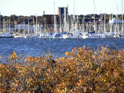 Holiday apartment Hallmann - Environment photo 29