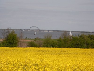 Holiday apartment Hallmann - Environment photo 31