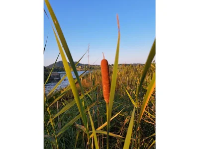 Holiday apartment Josephine am Klopeinersee - Environment photo 27