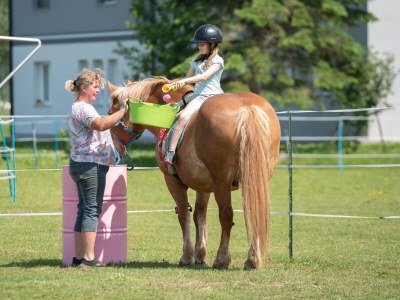 Holiday apartment Josephine am Klopeinersee - Environment photo 39