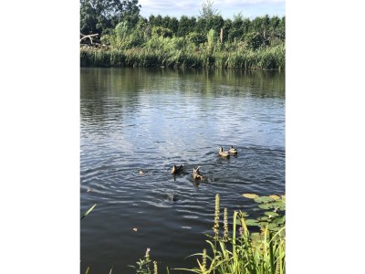 Holiday house Jacobsen. - Outdoor photo 16