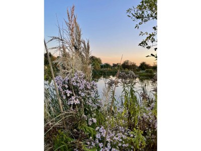 Holiday house Jacobsen. - Outdoor photo 20