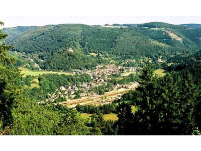 Holiday apartment Steinbock - Environment photo 15