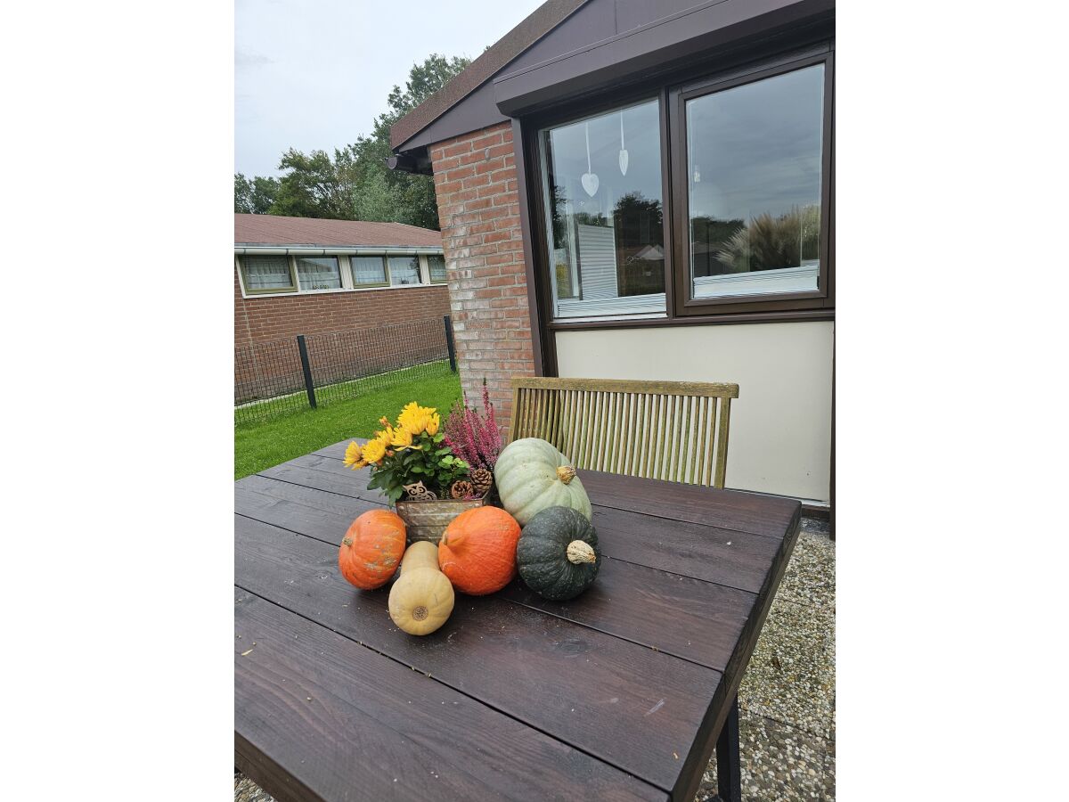 Holiday house Along the North Holland Canal - Outdoor photo 4