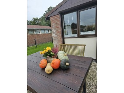 Holiday house Along the North Holland Canal - Outdoor photo 4