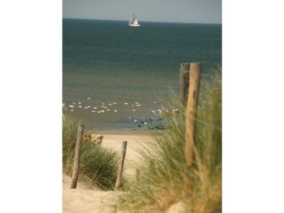 Holiday house Along the North Holland Canal - Environment photo 25