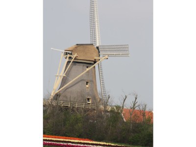 Holiday house Along the North Holland Canal - Environment photo 27