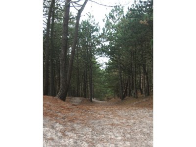 Holiday house Along the North Holland Canal - Environment photo 29