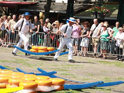 Holiday house Along the North Holland Canal - Environment photo 30