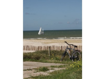 Holiday house Along the North Holland Canal - Environment photo 33