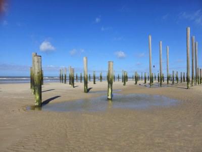 Holiday house Along the North Holland Canal - Environment photo 34