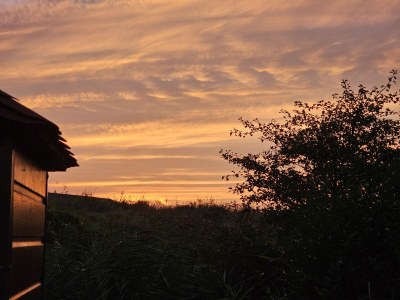 Holiday house Along the North Holland Canal - Environment photo 37