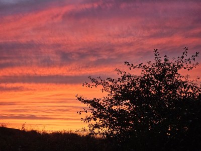 Holiday house Along the North Holland Canal - Environment photo 38