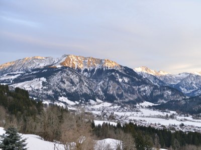 Holiday apartment Haus Gottstein Appartement/Fewo, Dusche, WC, Wohn-/Schlafraum Ferienwohnung Nusche - Environment photo 19