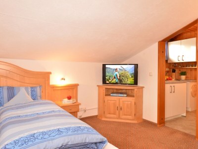 Holiday apartment Haus Gottstein Appartement/Fewo, Dusche, WC, Wohn-/Schlafraum Ferienwohnung Imne - Features photo 6