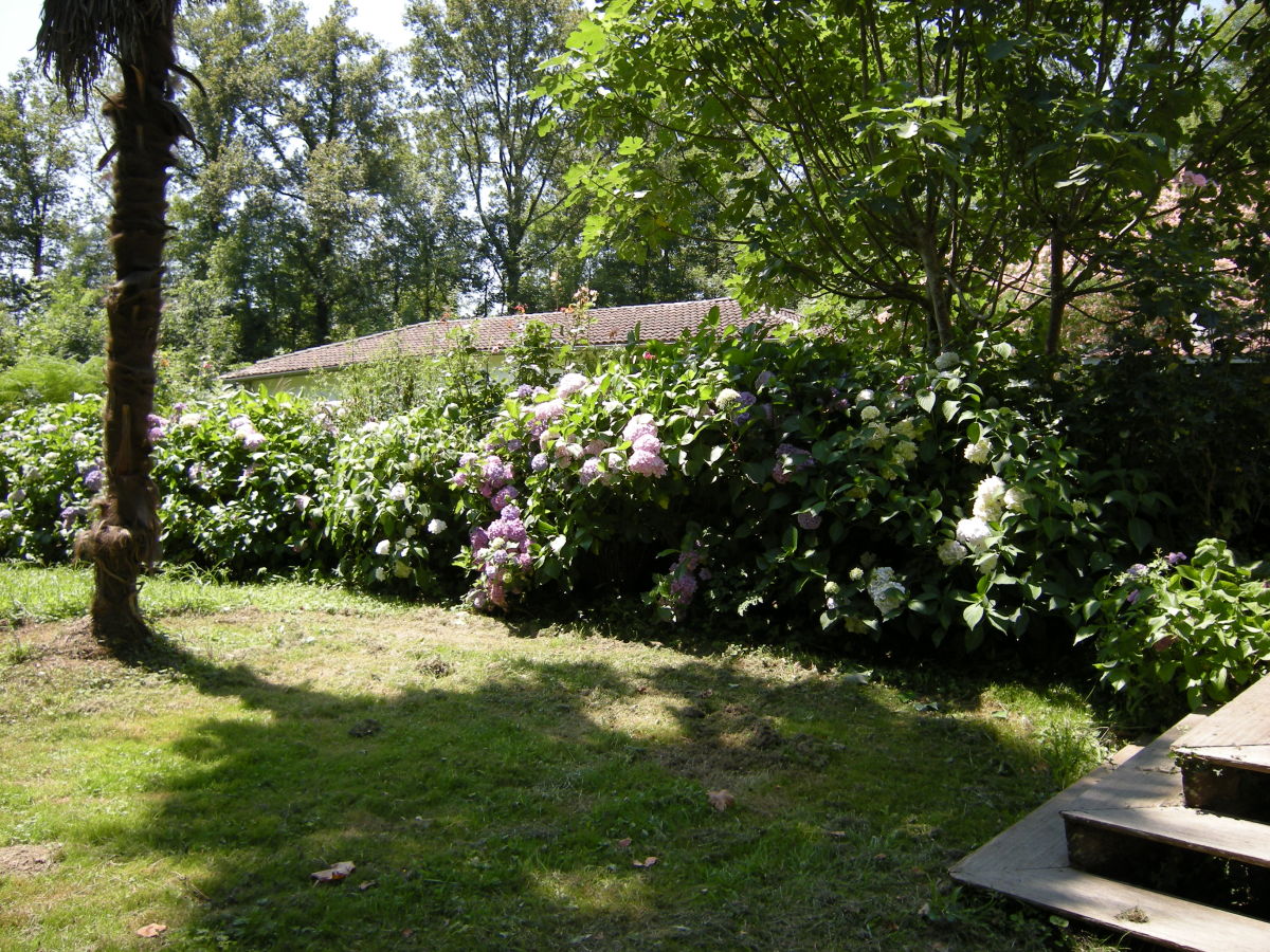 Holiday house Moulin d'Ibure, House "Moulin" - Outdoor photo 2