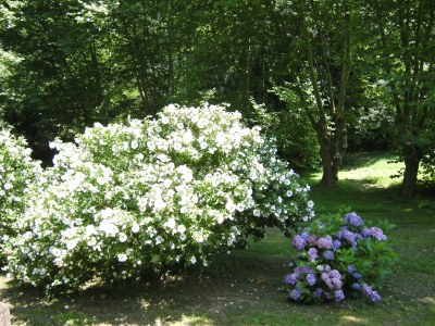 Holiday house Moulin d'Ibure, House "Moulin" - Outdoor photo 5