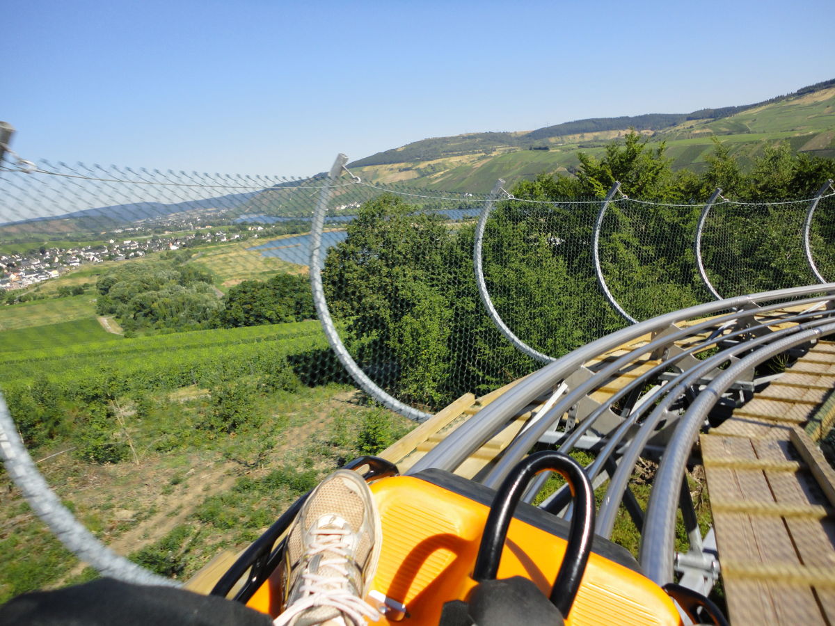 Holiday apartment Trier - Dorheck - Outdoor photo 4