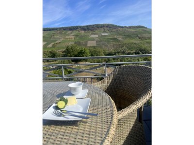 Holiday apartment Mosel Reschke 2 - Outdoor photo 4