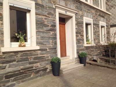 Holiday apartment Mosel Reschke 2 - Outdoor photo 9