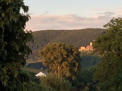 Holiday apartment Mosel Reschke 2 - Environment photo 22