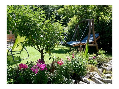 Holiday apartment Wiesenblick - the Herb family. - Outdoor photo 11