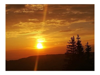 Holiday apartment Wiesenblick - the Herb family. - Features photo 27