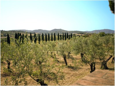 Holiday house Casa Ramerino - Outdoor photo 10