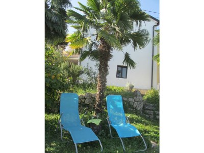 Holiday house Džidara - Outdoor photo 8