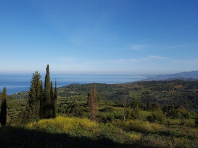 Villa Olympia - Environment photo 17