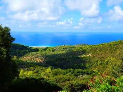 Villa Olympia - Environment photo 18