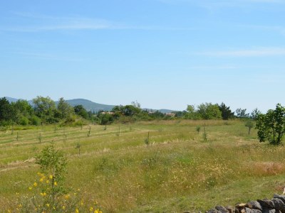 Holiday apartment Silver at Casa Grande - Environment photo 10