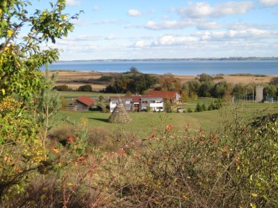 Holiday house Comfortable holiday house in Neukalen, near Lake Kummerow, Mecklenburg-Western Pomerania. - Environment photo 25