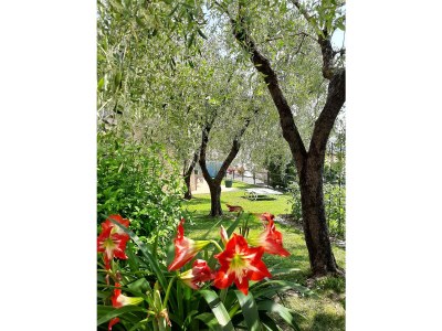 Holiday house Apartments Maria - Outdoor photo 12