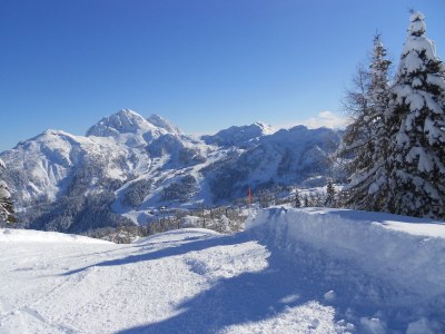 Holiday apartment Sunshine - Environment photo 20