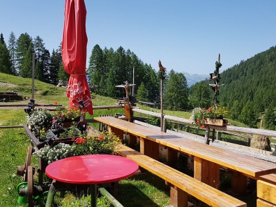 Holiday apartment Sunshine - Environment photo 30