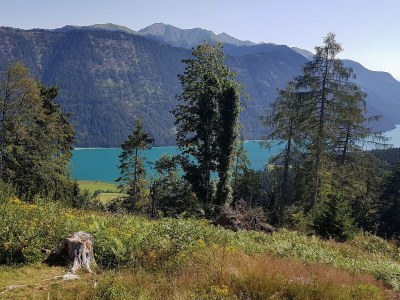 Holiday apartment Sunshine - Environment photo 31