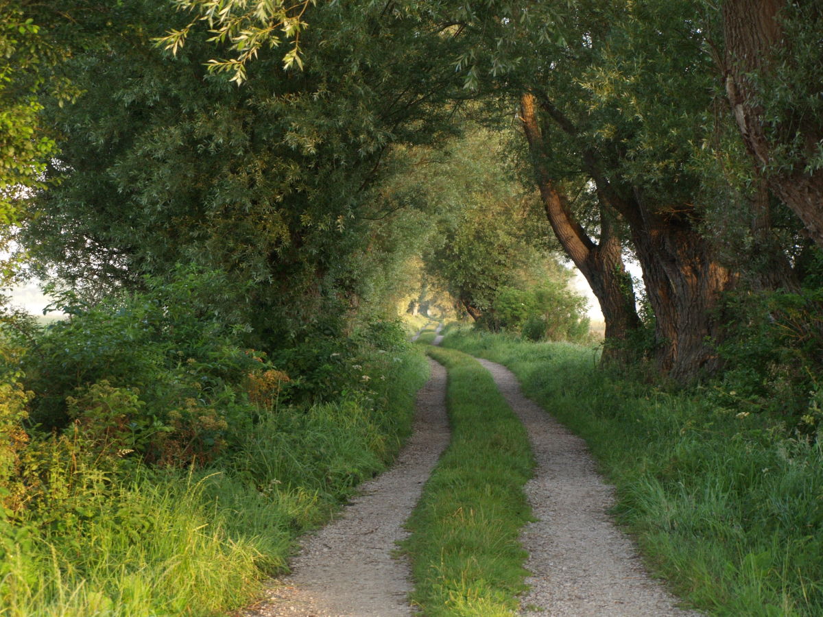 Holiday house Les Hauts Vents - Outdoor photo 3