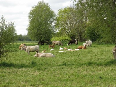 Holiday house Les Hauts Vents - Outdoor photo 6