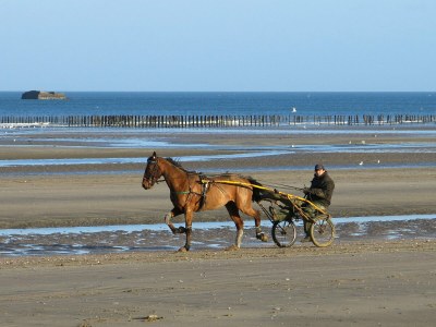 Holiday house Les Hauts Vents - Environment photo 17