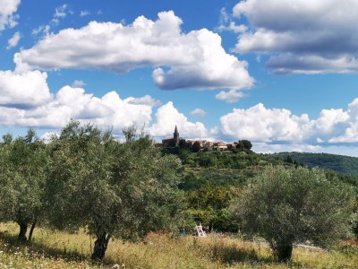 Villa Mathilda - Environment photo 25