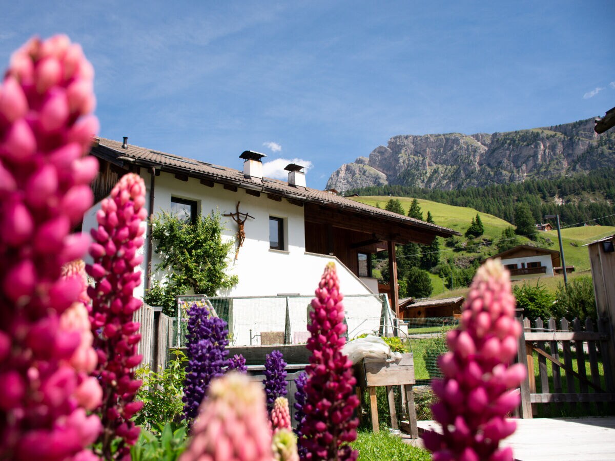 Holiday apartment Rainell - Outdoor photo 2