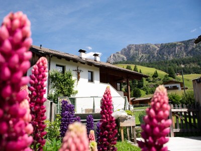 Holiday apartment Rainell - Outdoor photo 2