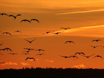 Holiday house Seekieker - Environment photo 21